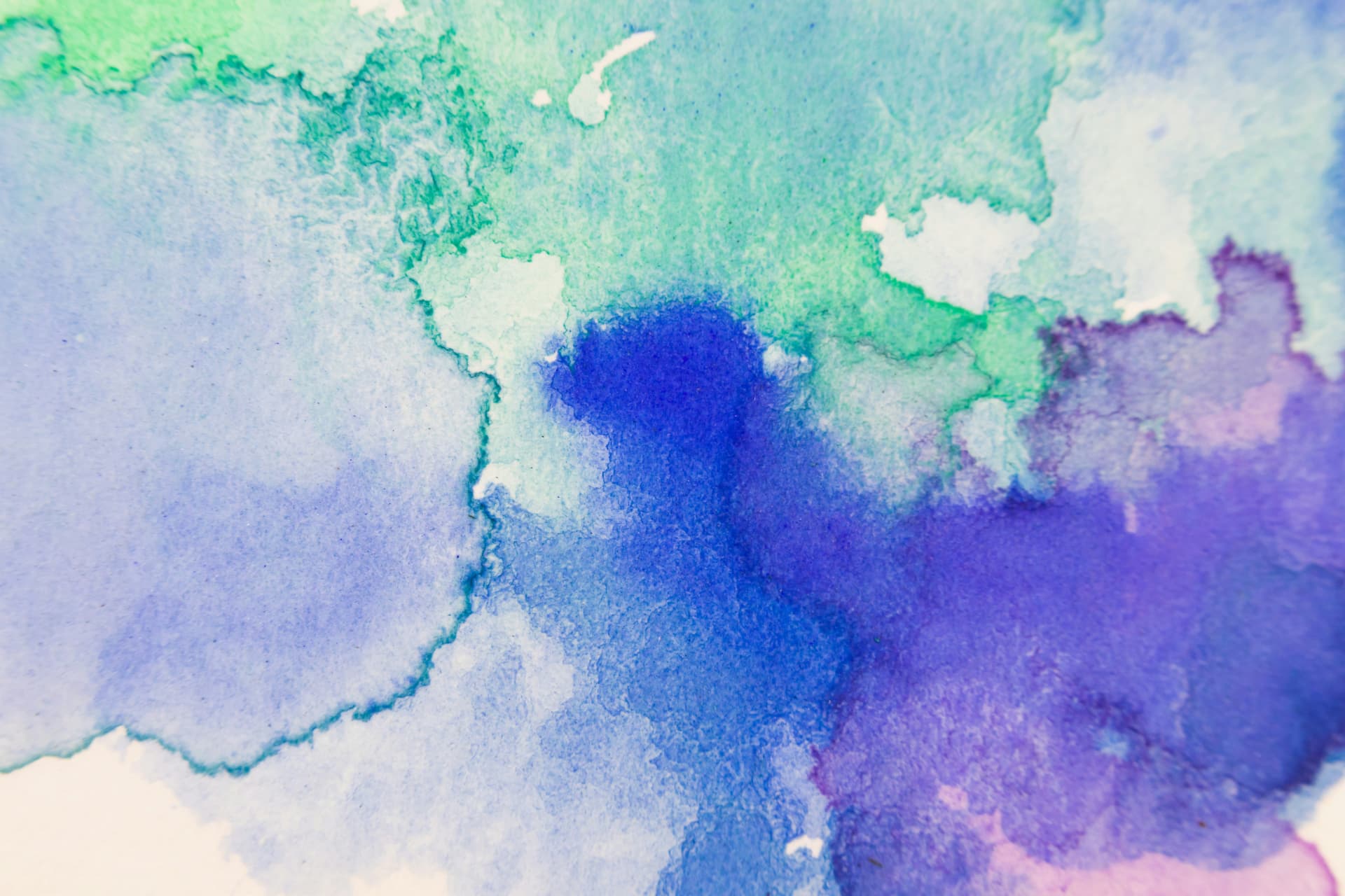 Watercolor flower in bloom