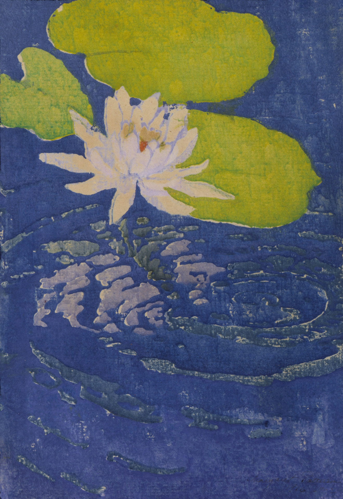Blue print of a white water lily above widening ripples